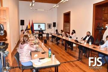 Sesión plenaria del mes de noviembre de 2020/TA y Francisco Javier Santana.